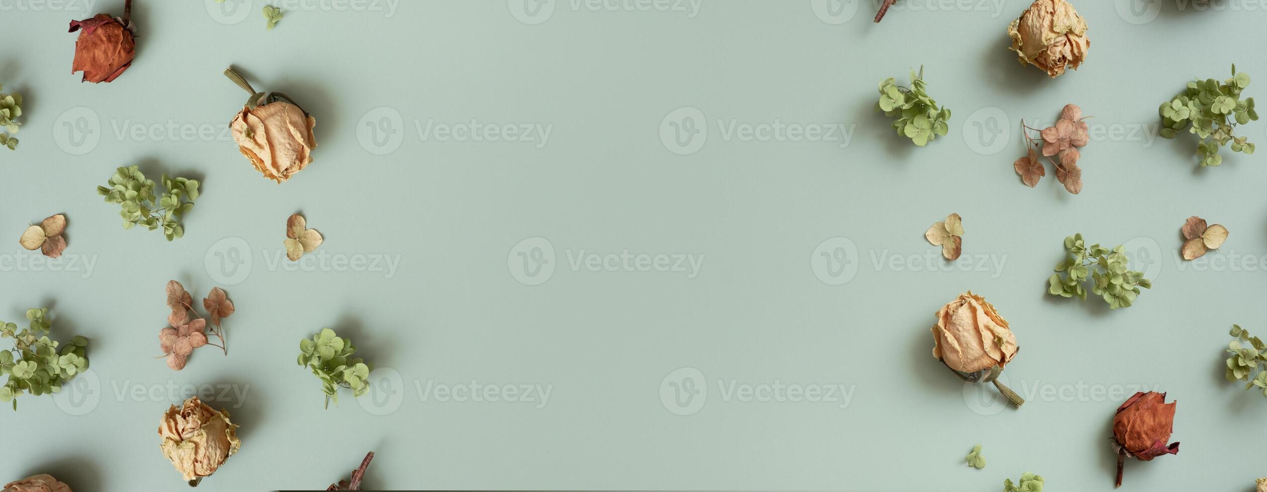 Banner with autumn pattern flat lay with from dried hydrangea flowers, roses and petals on green colored background photo