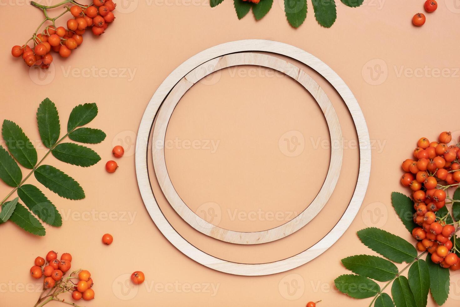 Blank wooden frame with copy space decorated with rowan leaves and berries. Autumn mock up flat lay, top view photo