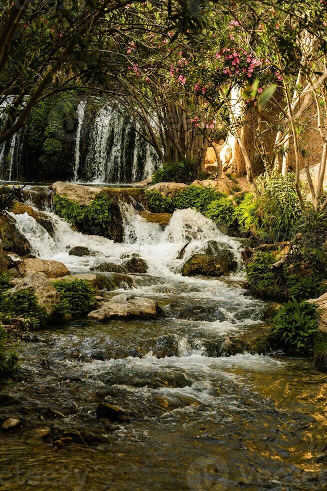 Small Waterfall Flowing Through Lush Forest photo
