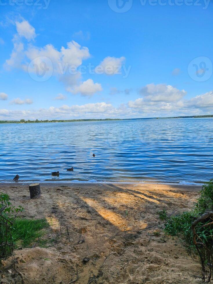 Landscape with sandy lake shore on a summer day. photo