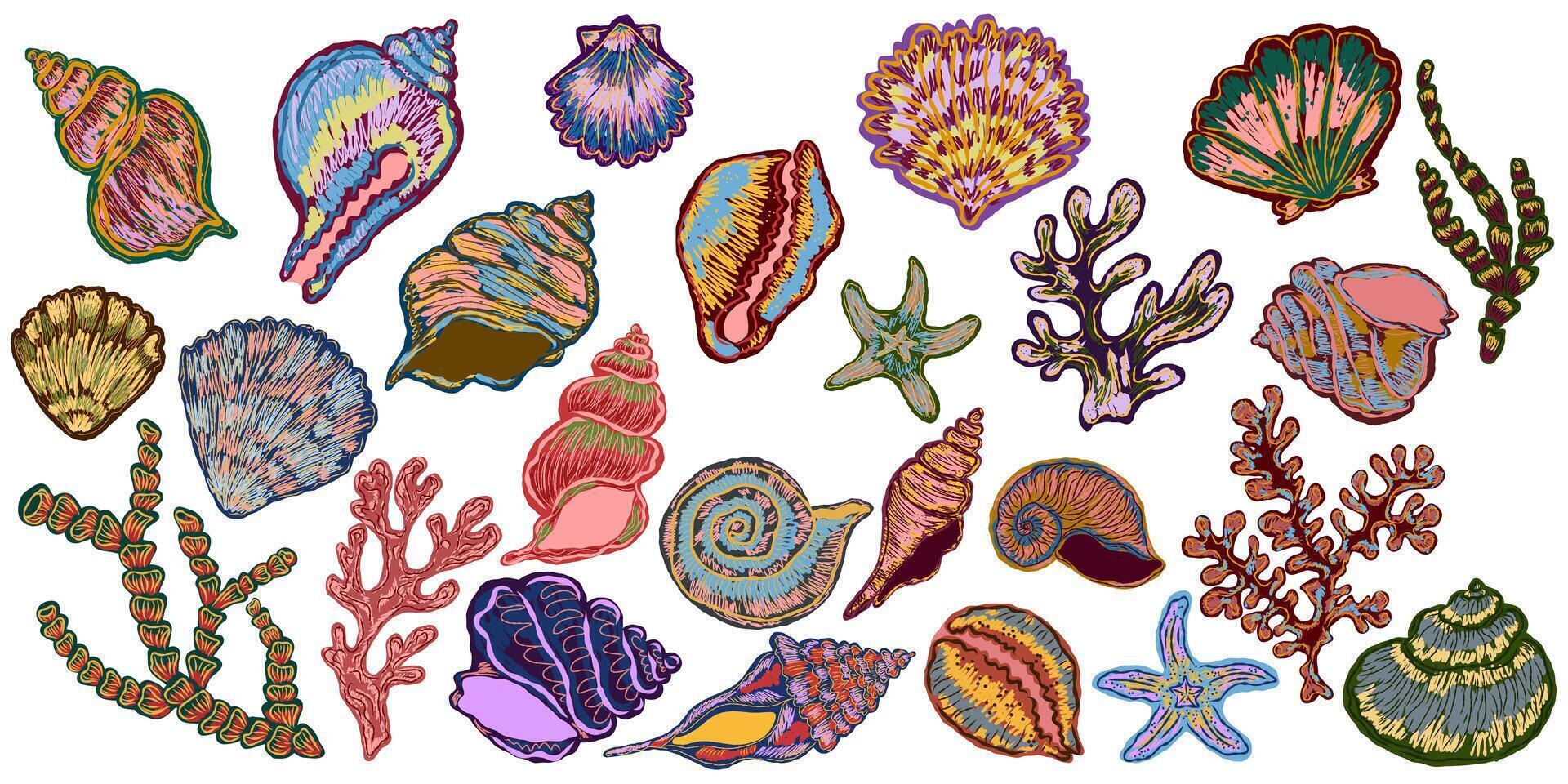 A variety of sea shells and corals vector