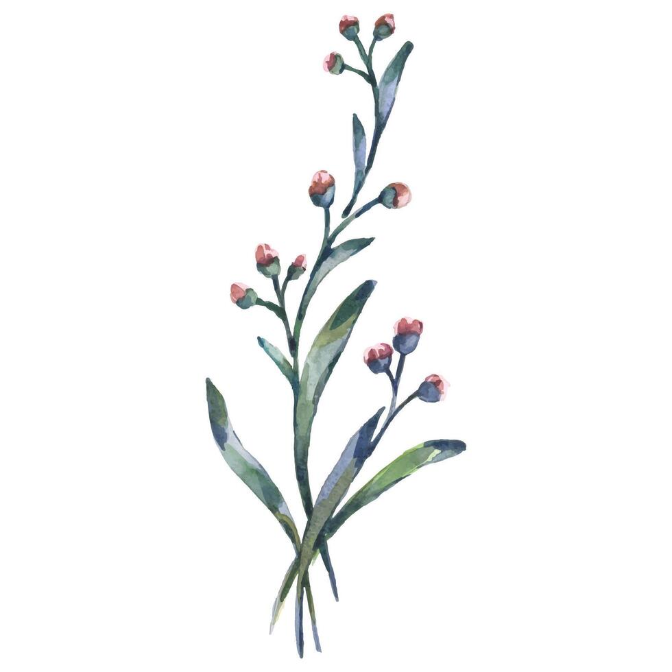 Purple Blossom Watercolor Design Element with Foliage on White Background vector