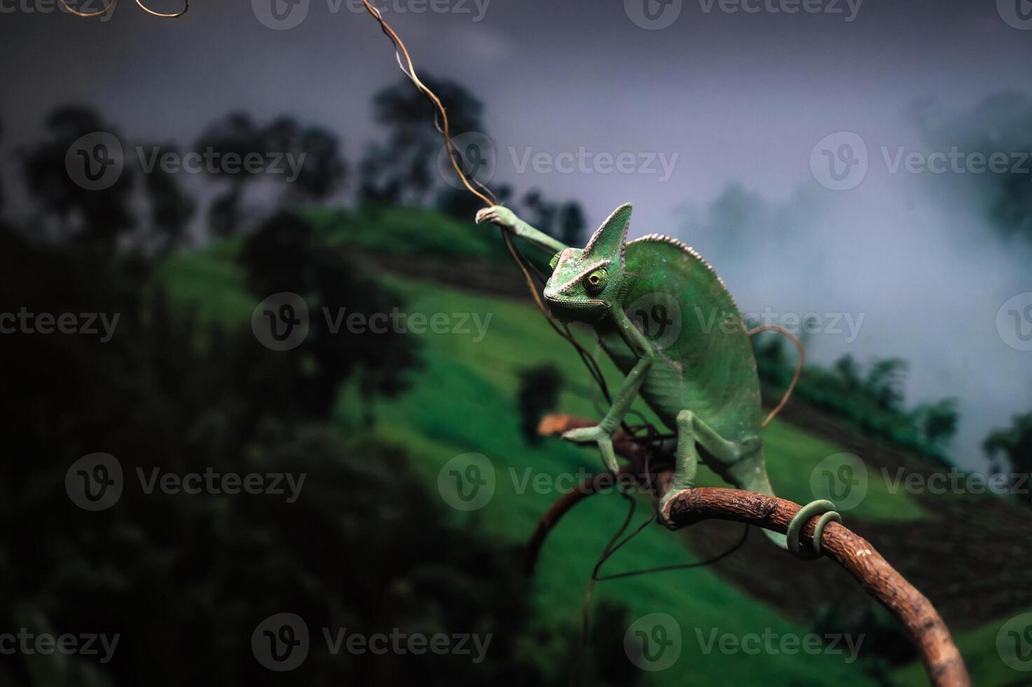 A green chameloen is perched on a branch in a cage that resembles a colorful rainforest. photo