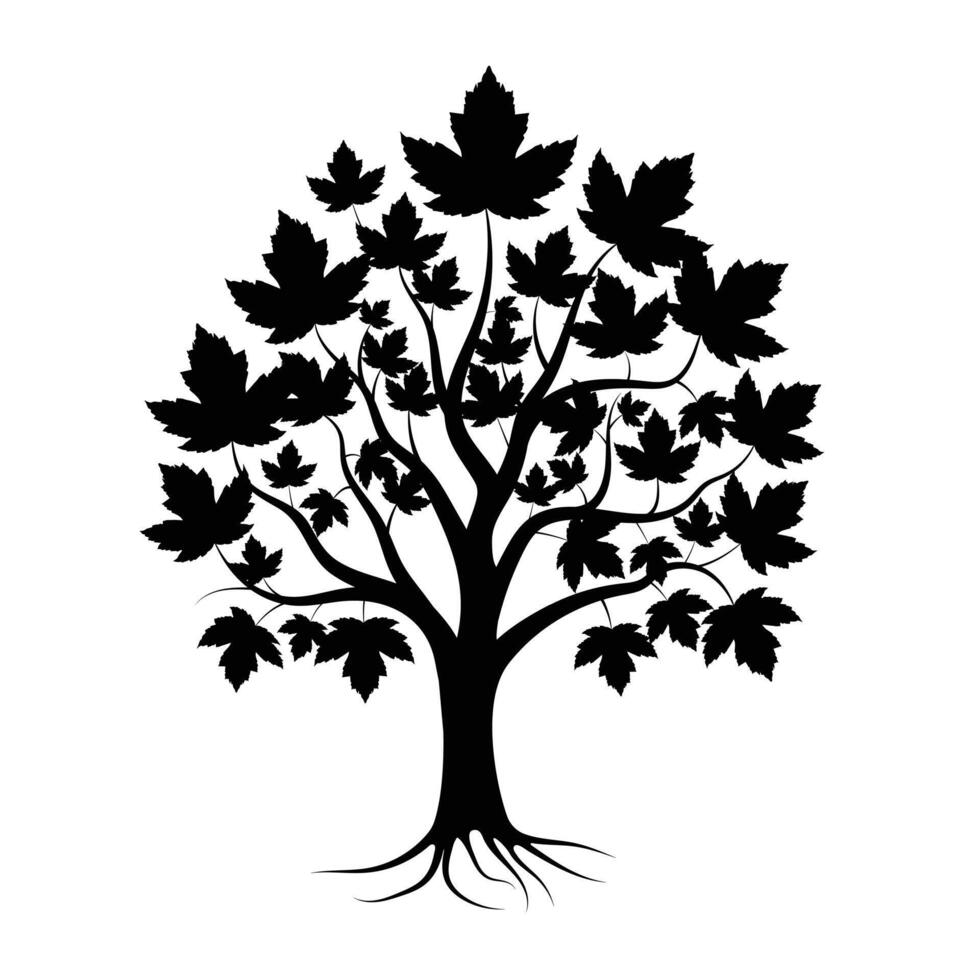 Black Silhouette of a Maple Tree with Roots, Maple Tree Illustration on White Background vector