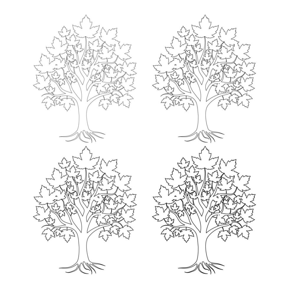 Black and White Maple Tree with Roots for Coloring Book, Maple Tree Outline vector