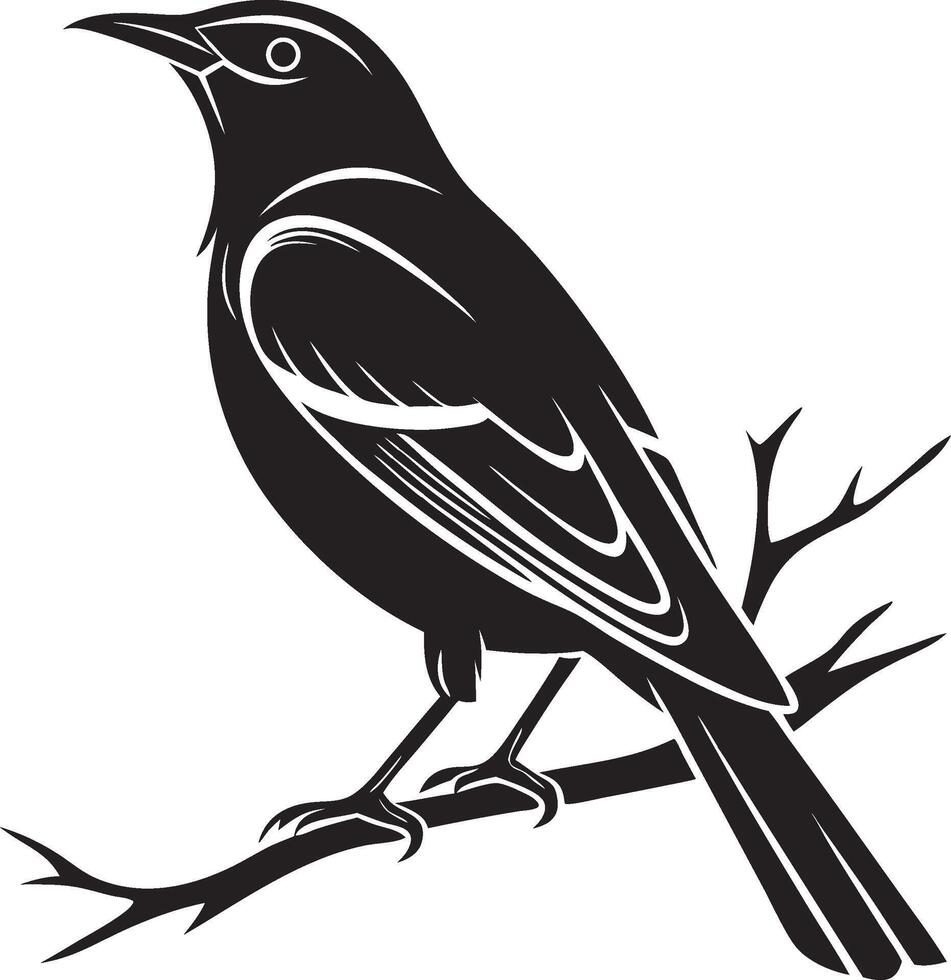 Black bird on branch vector
