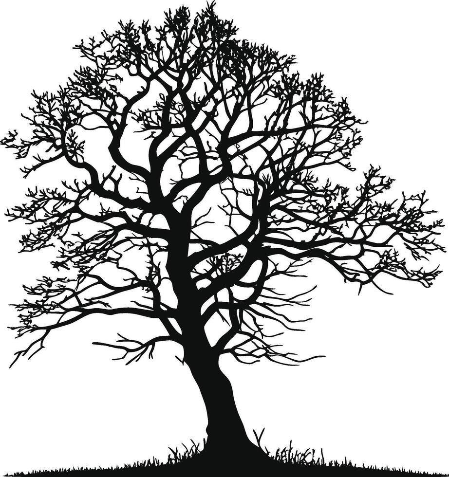 Black tree isolated on white background. Silhouette vector