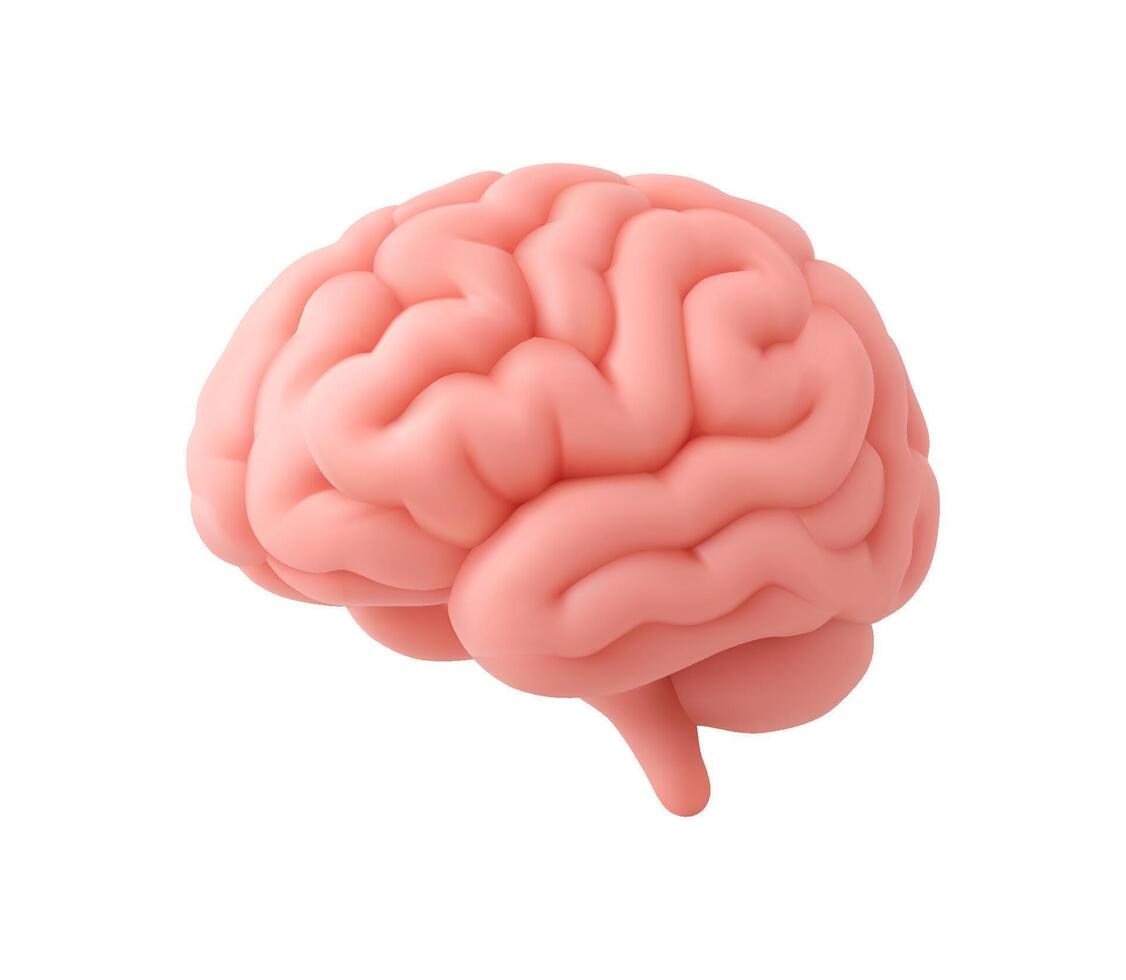 3d Brain icon. vector