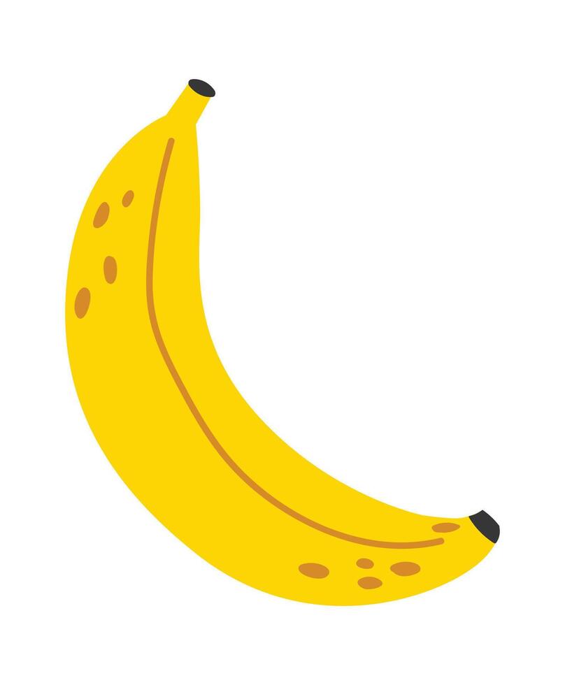 Single ripe banana featuring brown spots, isolated on a white background, symbolizing healthy eating habits and serving as a rich source of potassium and vitamins vector
