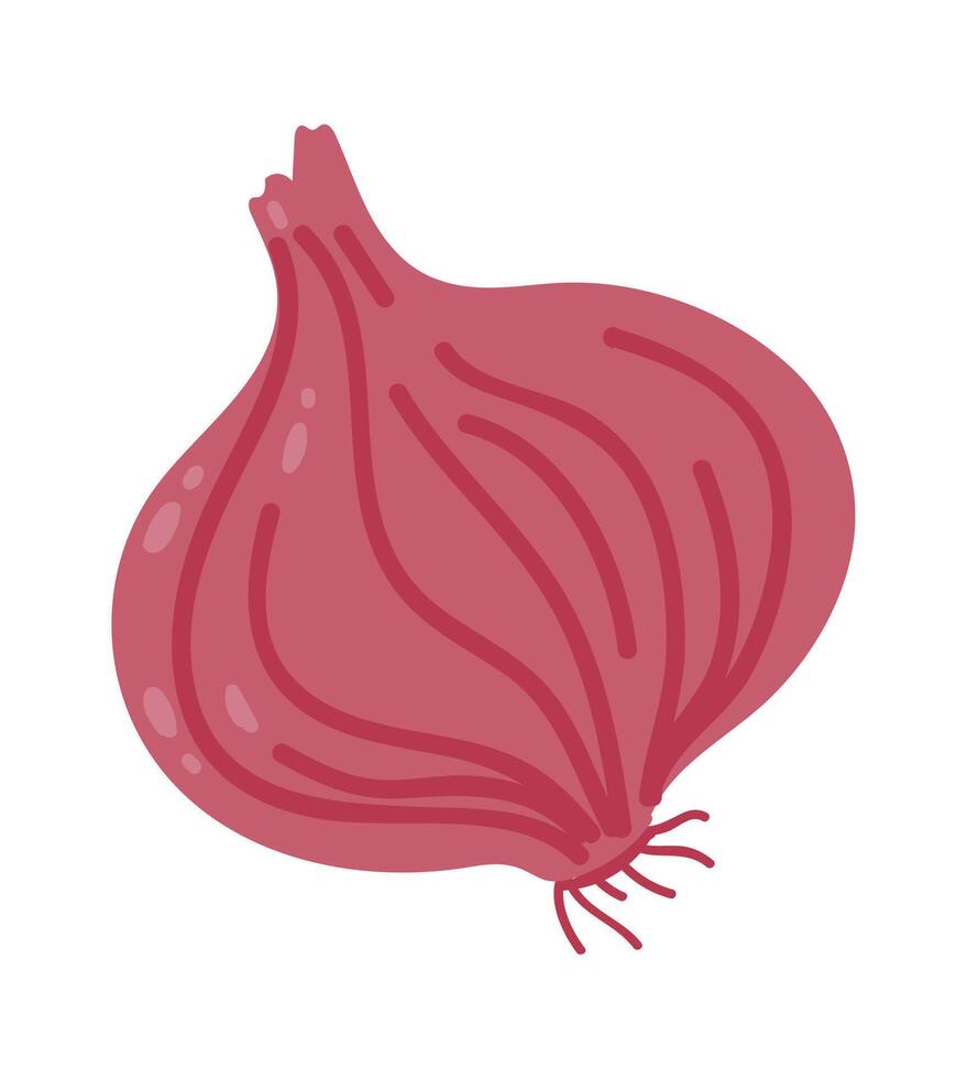 Cartoon illustration of a red onion with visible texture and roots, isolated on a white background, representing healthy eating and fresh ingredients for cooking vector