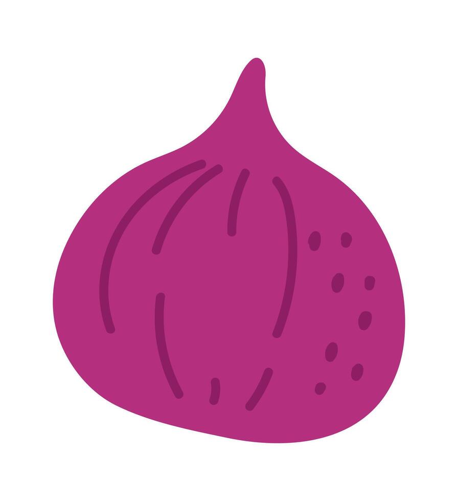 Hand drawn illustration of a ripe purple fig, capturing the fruit s unique texture and shape, ideal for food related designs or healthy eating promotions vector
