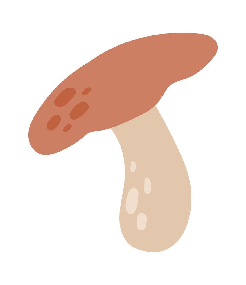 Mushroom with brown cap and beige stem growing wild, hand drawn digital illustration isolated on white background, simple and minimalist autumnal design vector