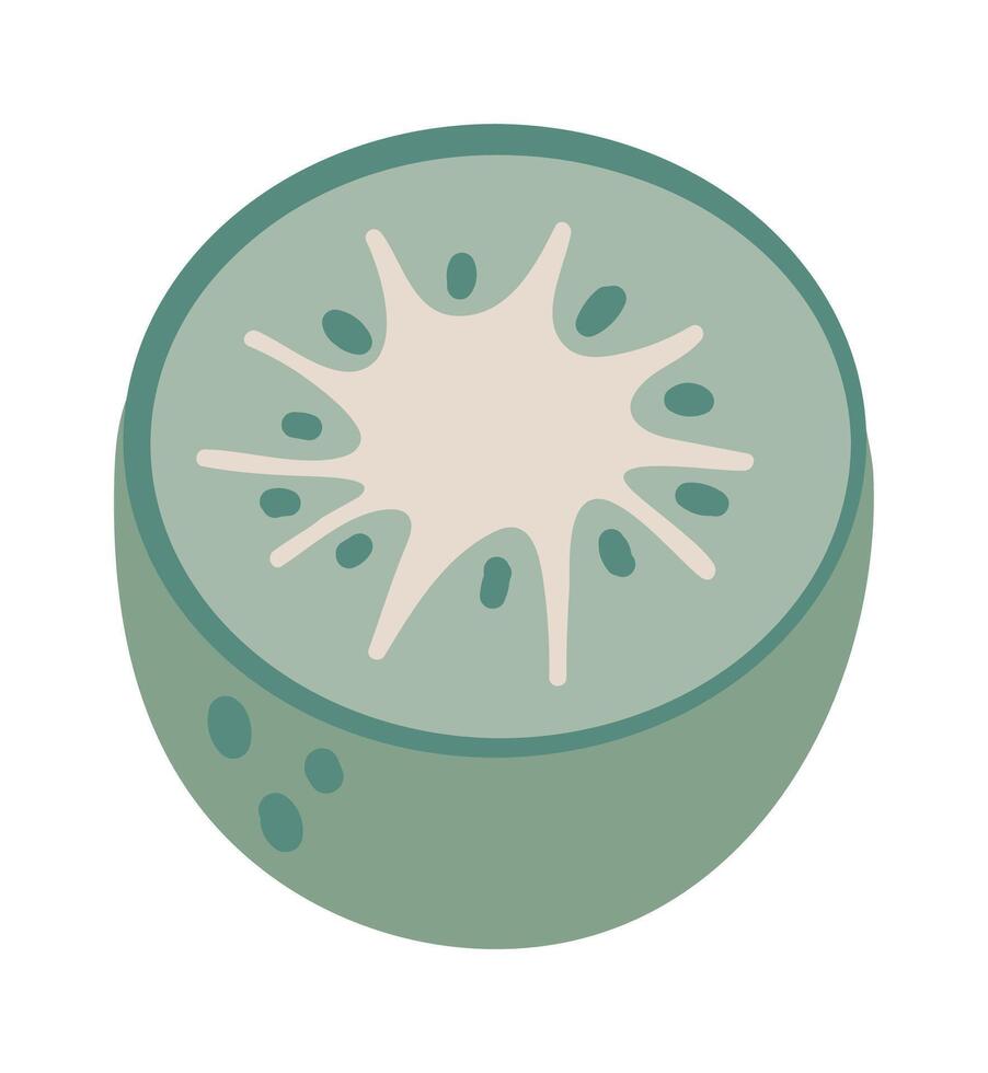Kiwi fruit cut in half showing seeds, pulp and skin in a minimalist and pastel color palette, ideal for healthy eating and lifestyle projects vector