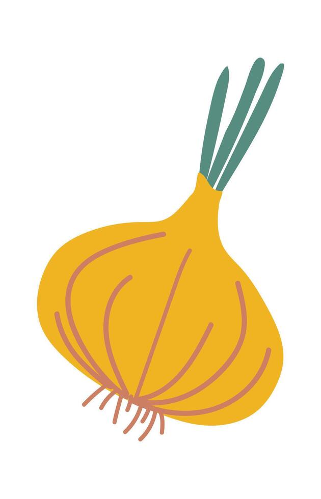 Ripe yellow onion featuring vibrant green sprouts, isolated against a clean white background, representing a healthy organic vegetable and a versatile ingredient for cooking vector