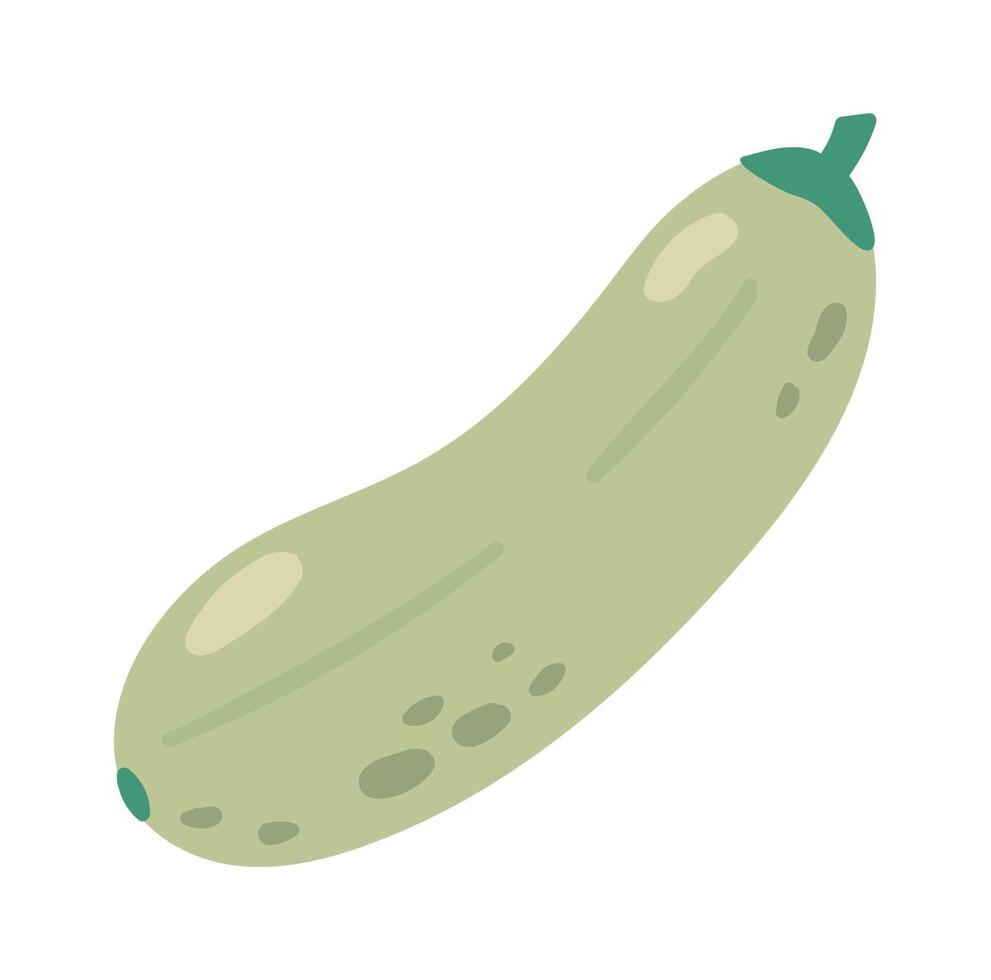 Cartoon illustration of a single zucchini with green stem laying on a white background, representing healthy eating, veganism, and farm to table concepts vector