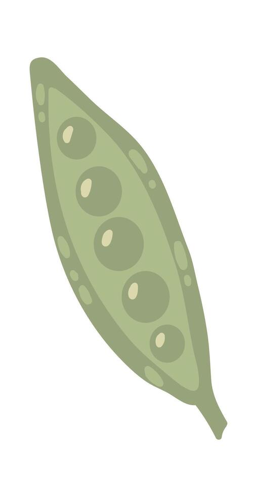 Green pea pod featuring vibrant peas nestled inside, illustrated in a simple, playful style. Isolated on a clean white background, capturing the essence of fresh, healthy vegetables vector