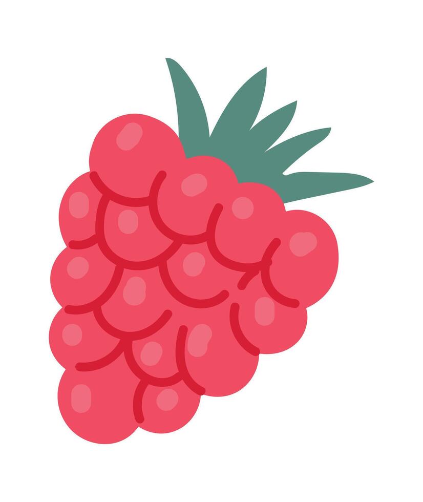 Ripe raspberry fruit with vibrant green leaves, illustrating the natural sweetness and refreshing qualities of this popular berry, ideal for healthy eating and culinary creations vector