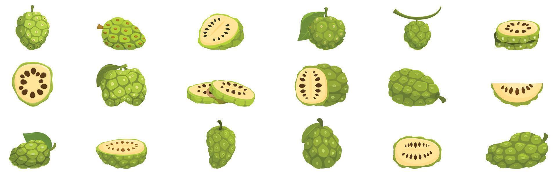 Noni fruit icons set. Noni fruit collection showcasing various forms and slices of this tropical superfood vector