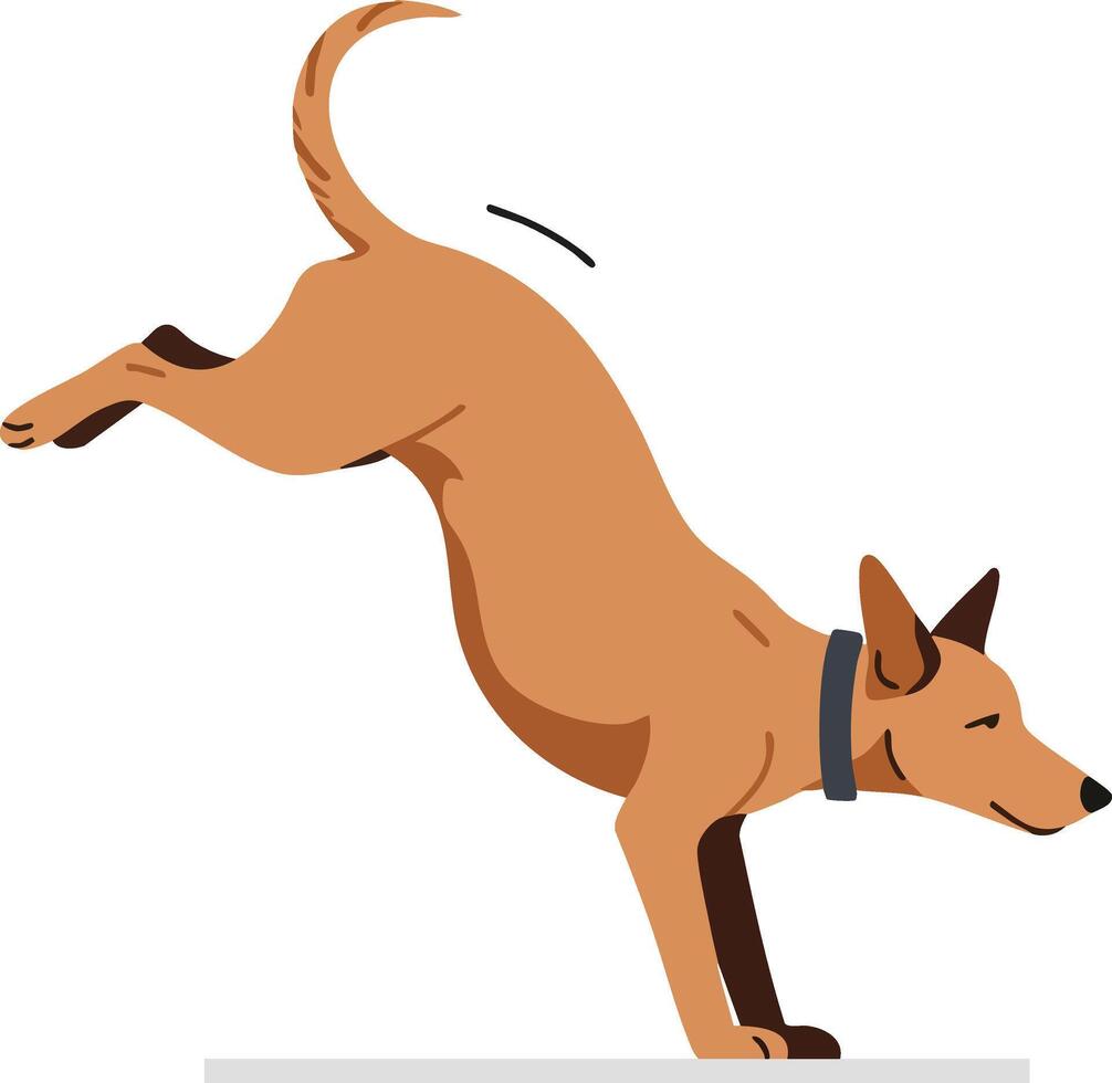 Brown dog performing a playful handstand balancing on front paws with tail up illustration vector