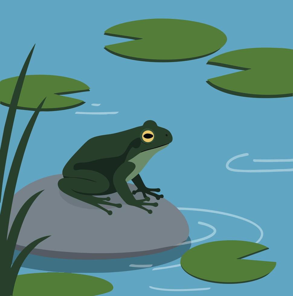 Frog sitting on rock in pond with green lily pads and reeds in calm water illustration vector