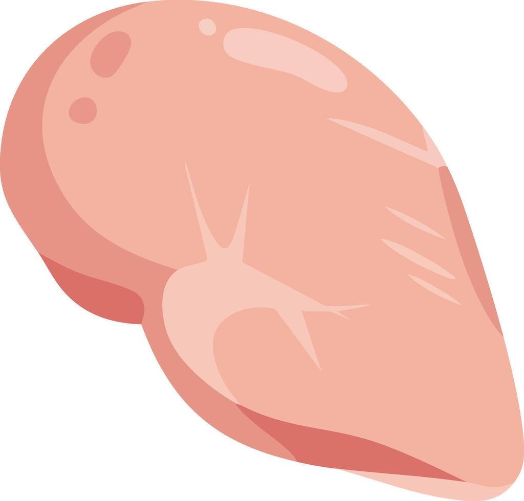 Raw chicken breast meat illustration for cooking and food preparation concept design vector