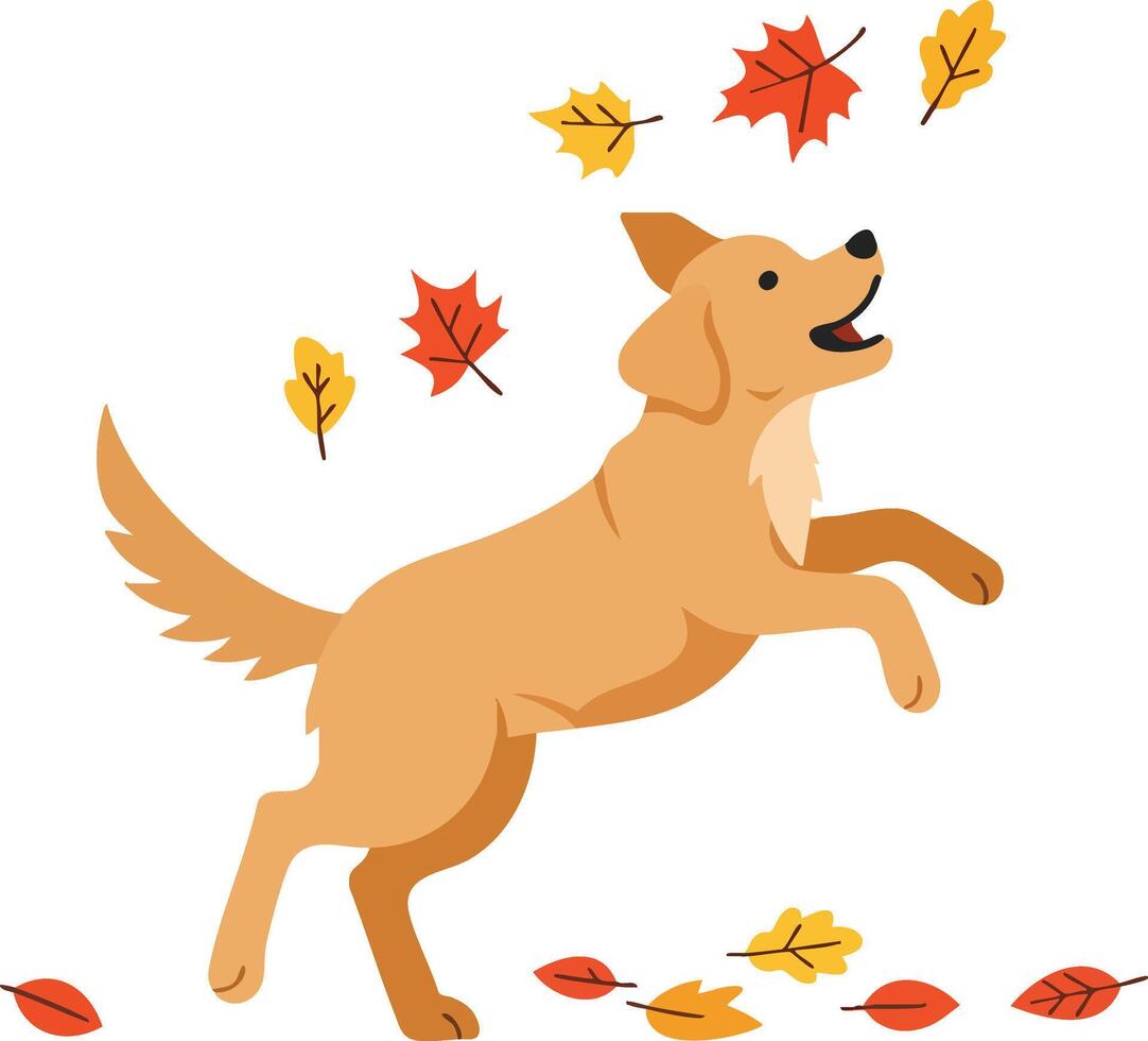 Golden retriever dog playing with autumn leaves in fall season illustration cheerful and lively vector