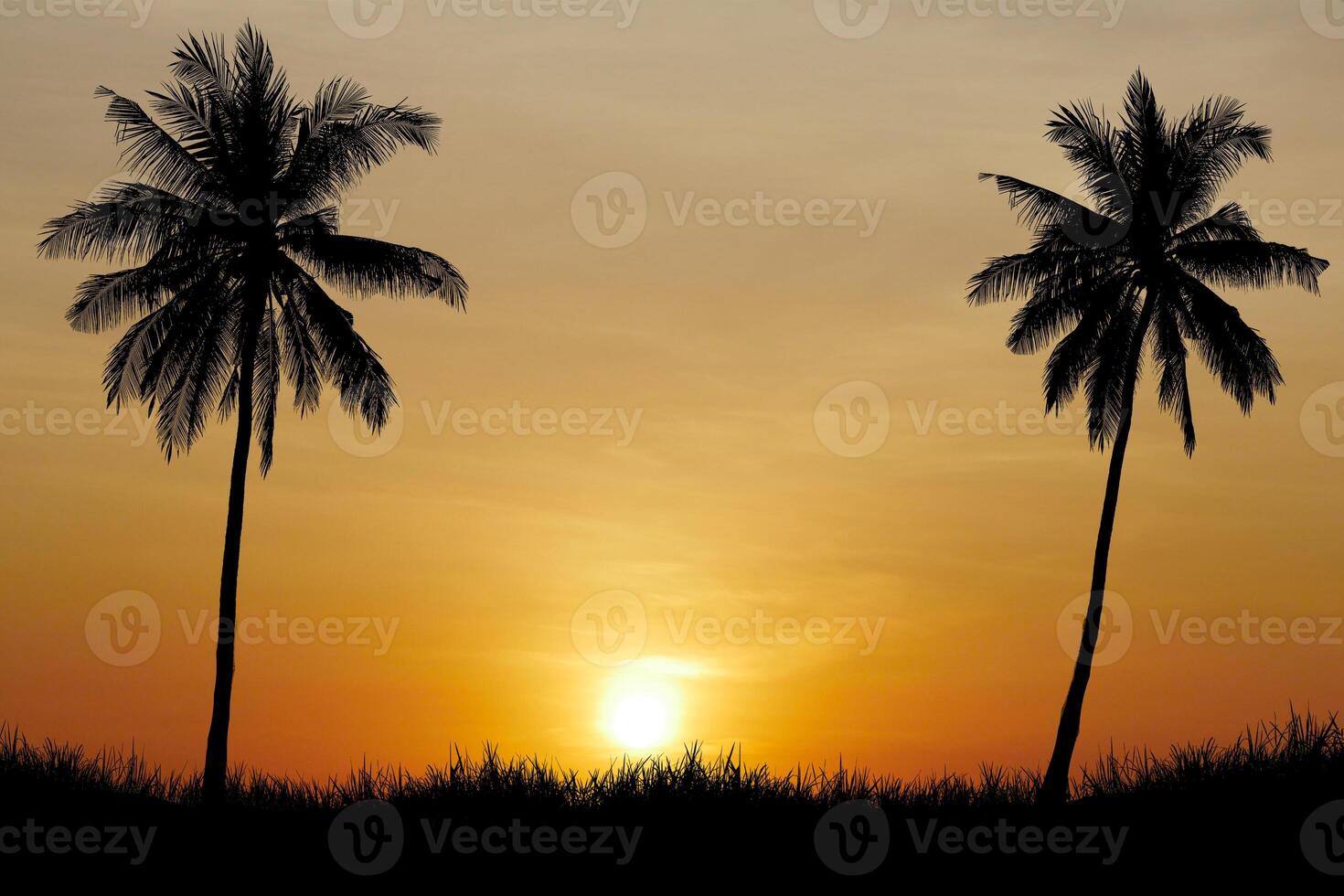 Stunning Tropical Sunset with Silhouetted Palm Trees Against a Vibrant Orange and Yellow Sky photo