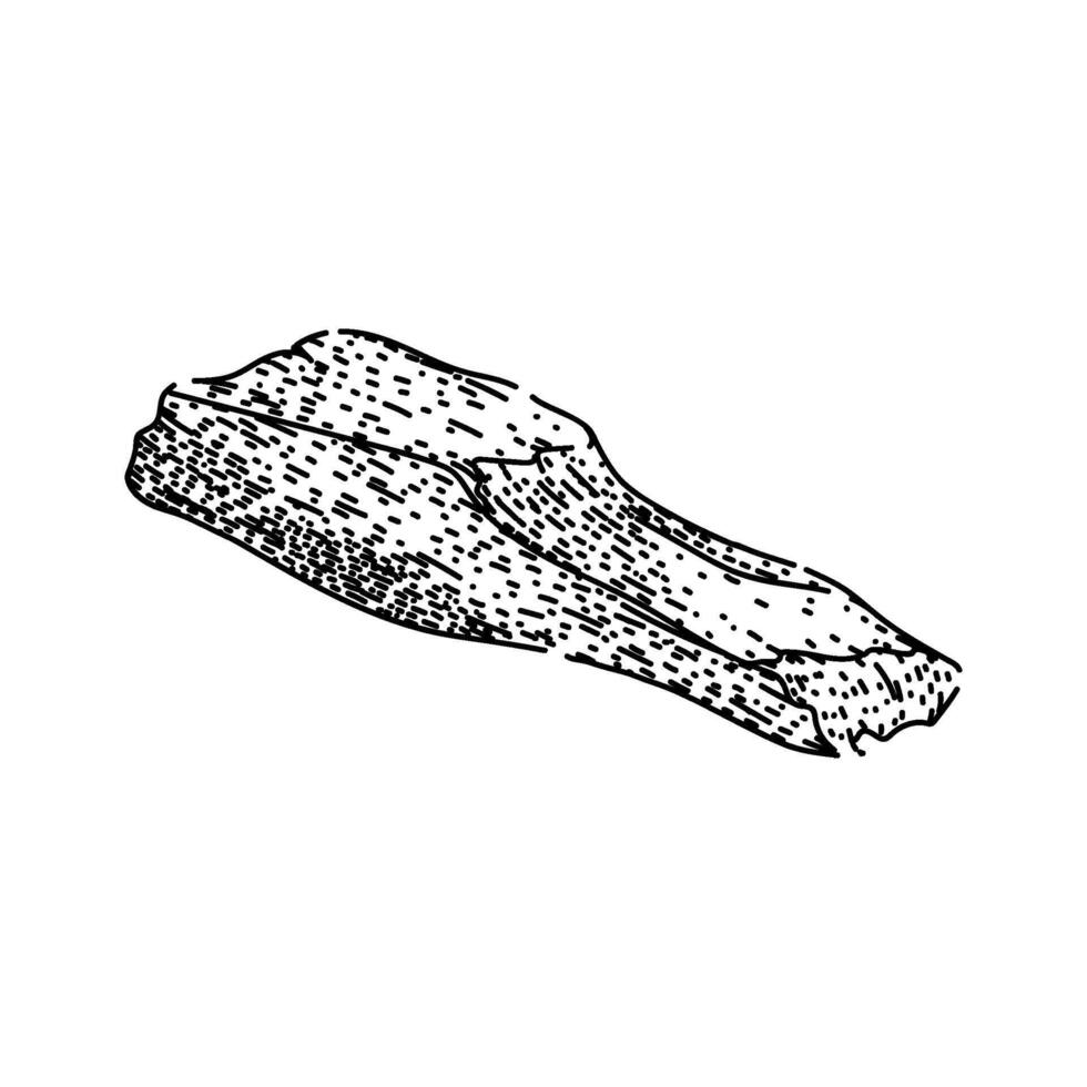 aroma palo santo hand drawn item vector