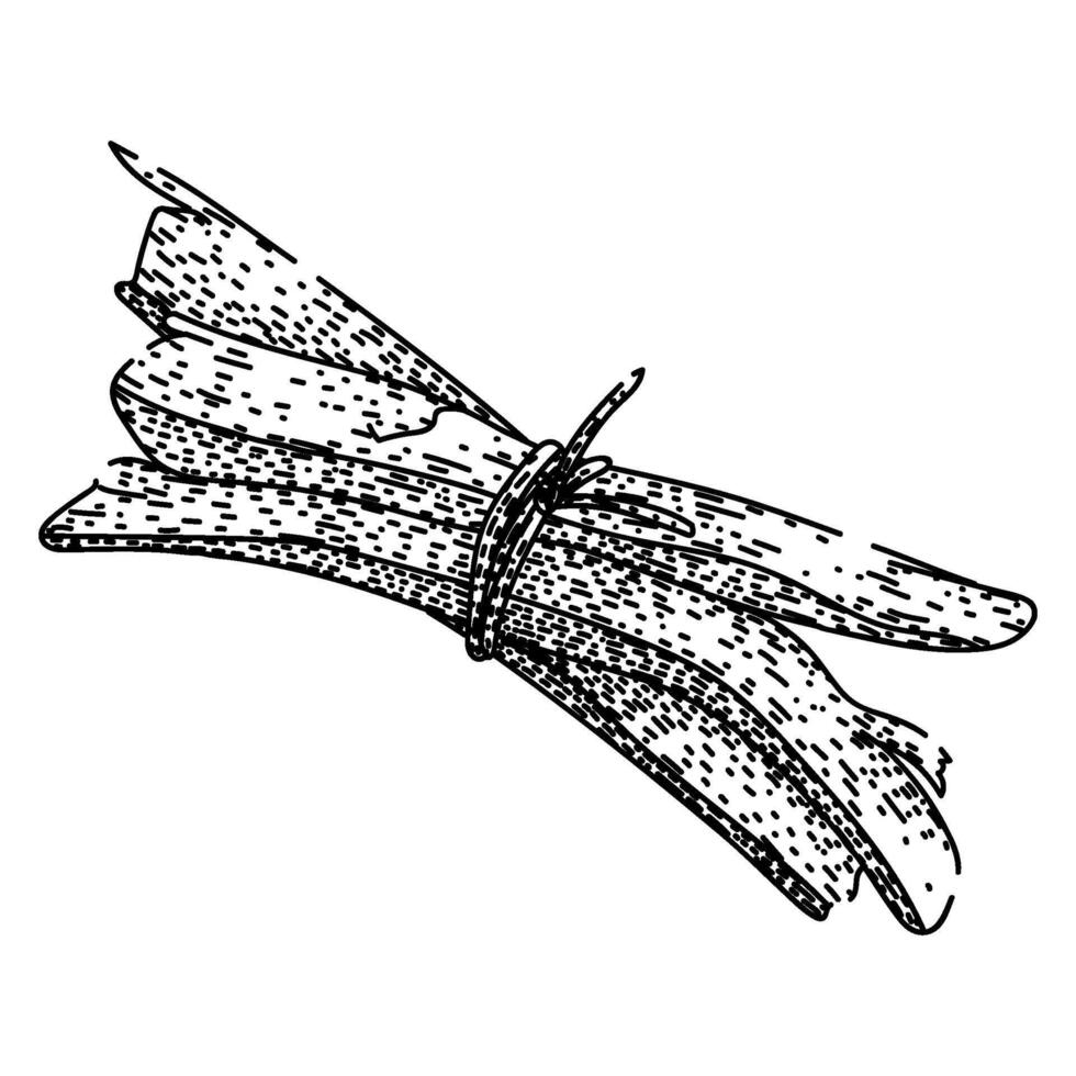 wood palo santo sketch hand item vector