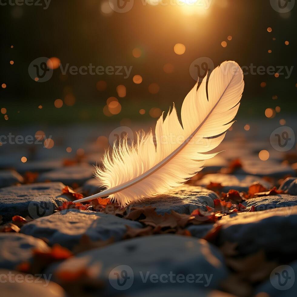 White Feather on Autumn Leaves and Cobblestone at Sunset with Warm Light and Bokeh Particles photo