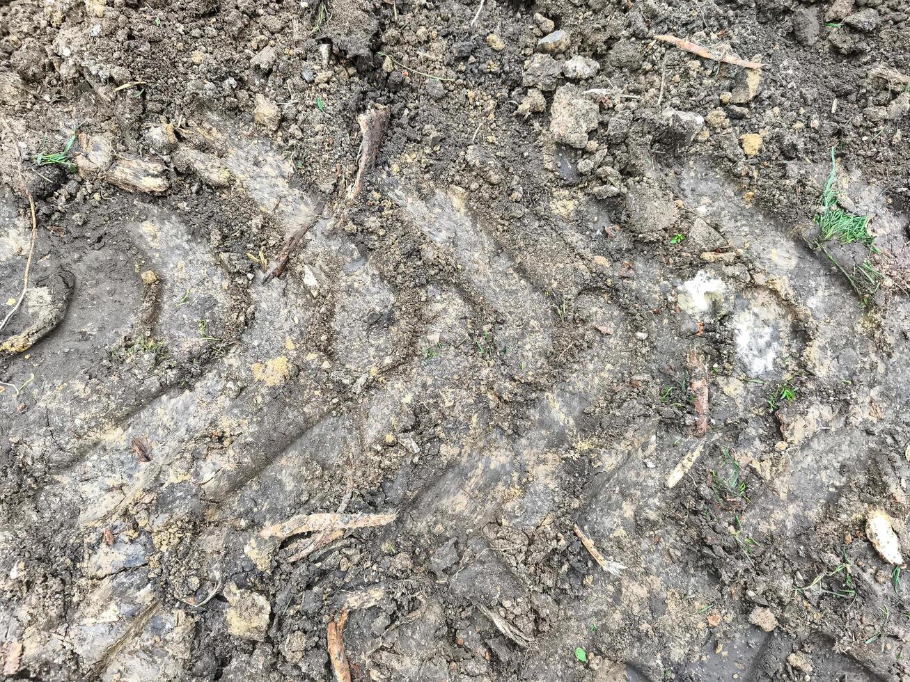 A tire track is shown in the dirt, with a few leaves scattered around. Scene is somewhat somber, as the tire track is a reminder of the passage of time and the wear and tear of the earth photo