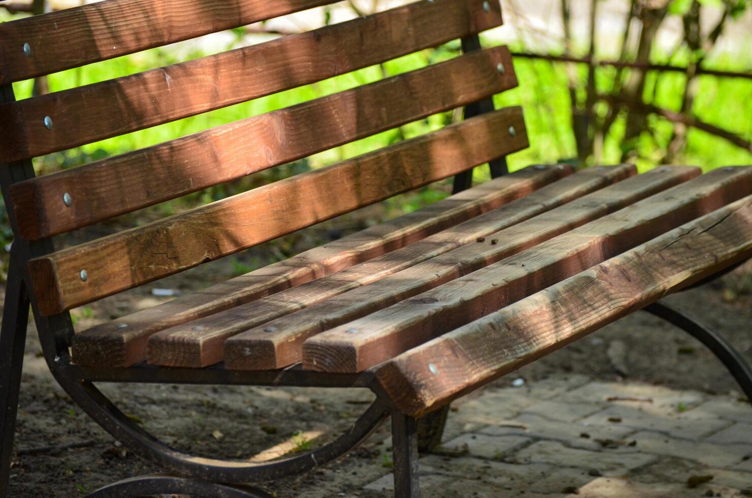 A wooden bench with a metal frame sits in a park. The bench is empty and the sun is shining on it photo