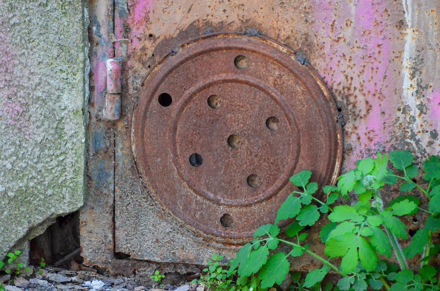 A rusty metal object with holes in it. The object is surrounded by green plants. Scene is somewhat eerie and abandoned photo
