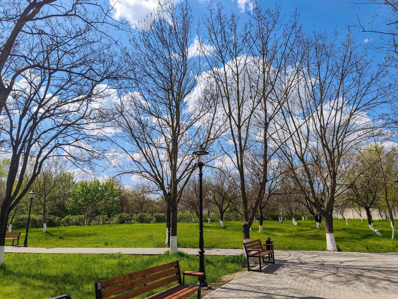 A park with a bench and a lamp post. The lamp post is lit up and the bench is empty. The sky is blue and there are trees in the background photo