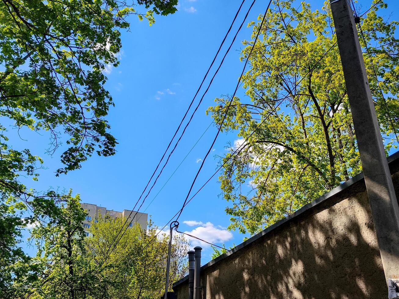 A wire is hanging from a pole and is above a tree. The sky is blue and the sun is shining photo