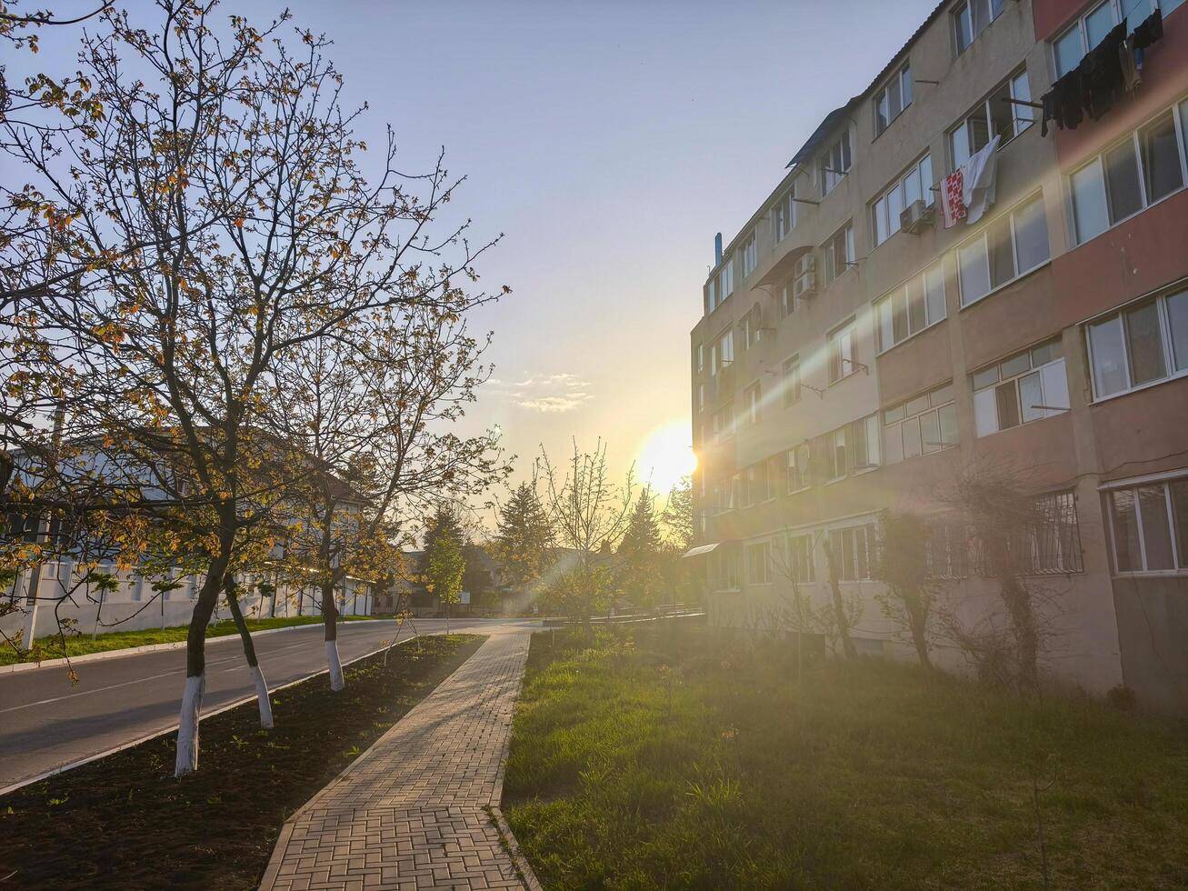 A walkway in front of a building with trees and a sun shining on it. The sun is setting and the sky is blue photo