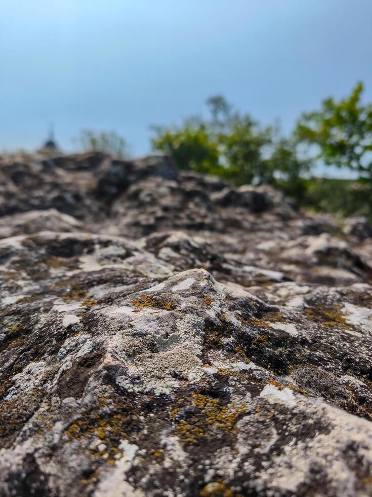 A rocky hillside with a few trees in the background. The rocks are covered in moss and lichen, giving the scene a somewhat eerie and mysterious feel photo