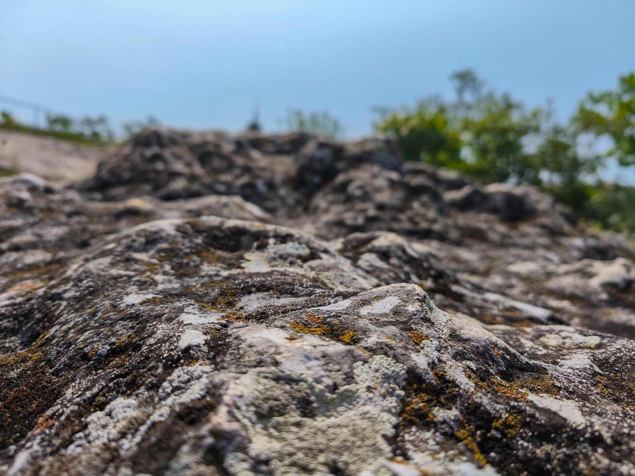 A rock with moss growing on it. The moss is green and white. The rock is large and has a rough texture photo