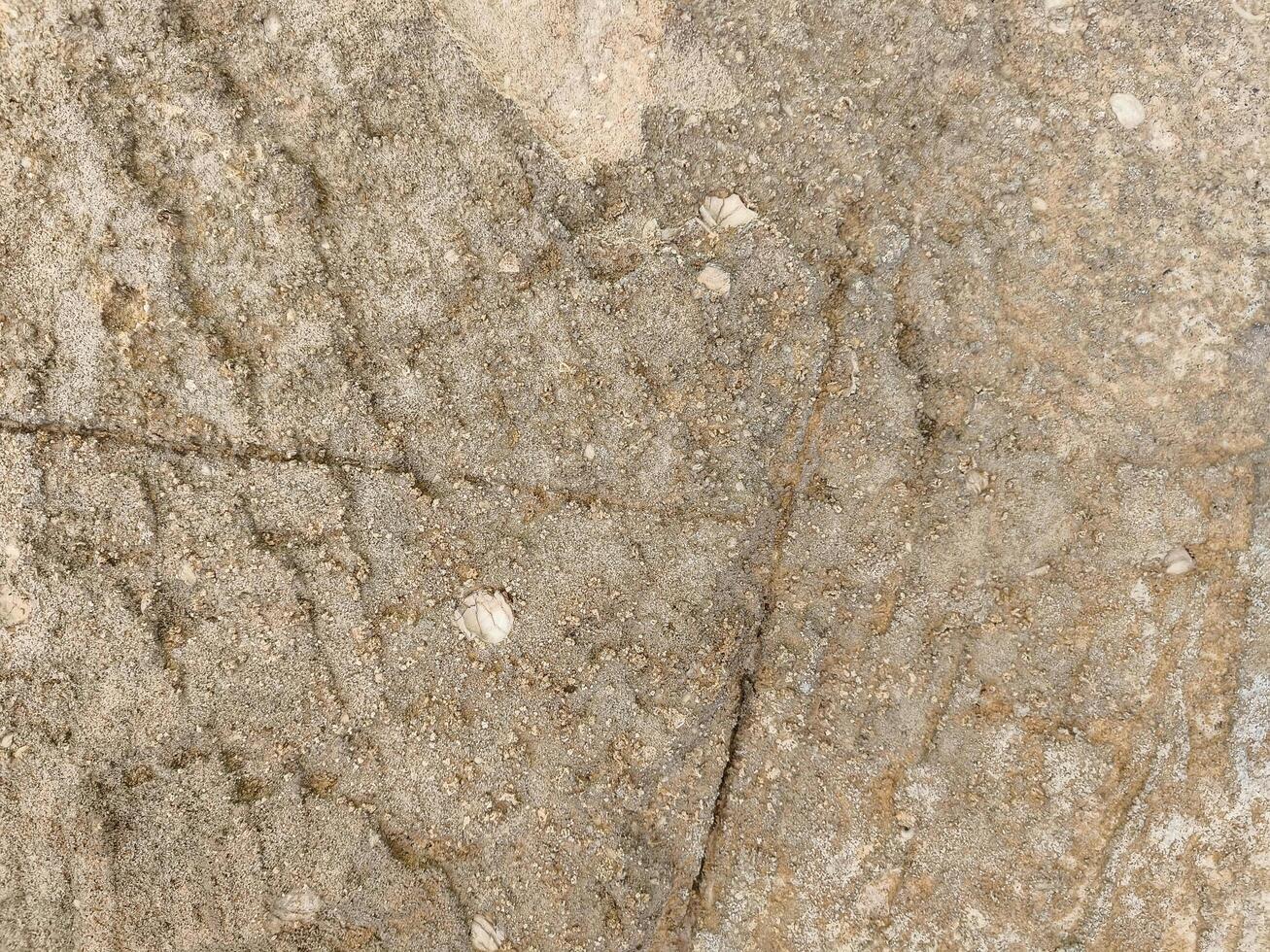 A stone wall with a lot of small holes and cracks. The wall is made of a rough material and has a somewhat worn appearance photo
