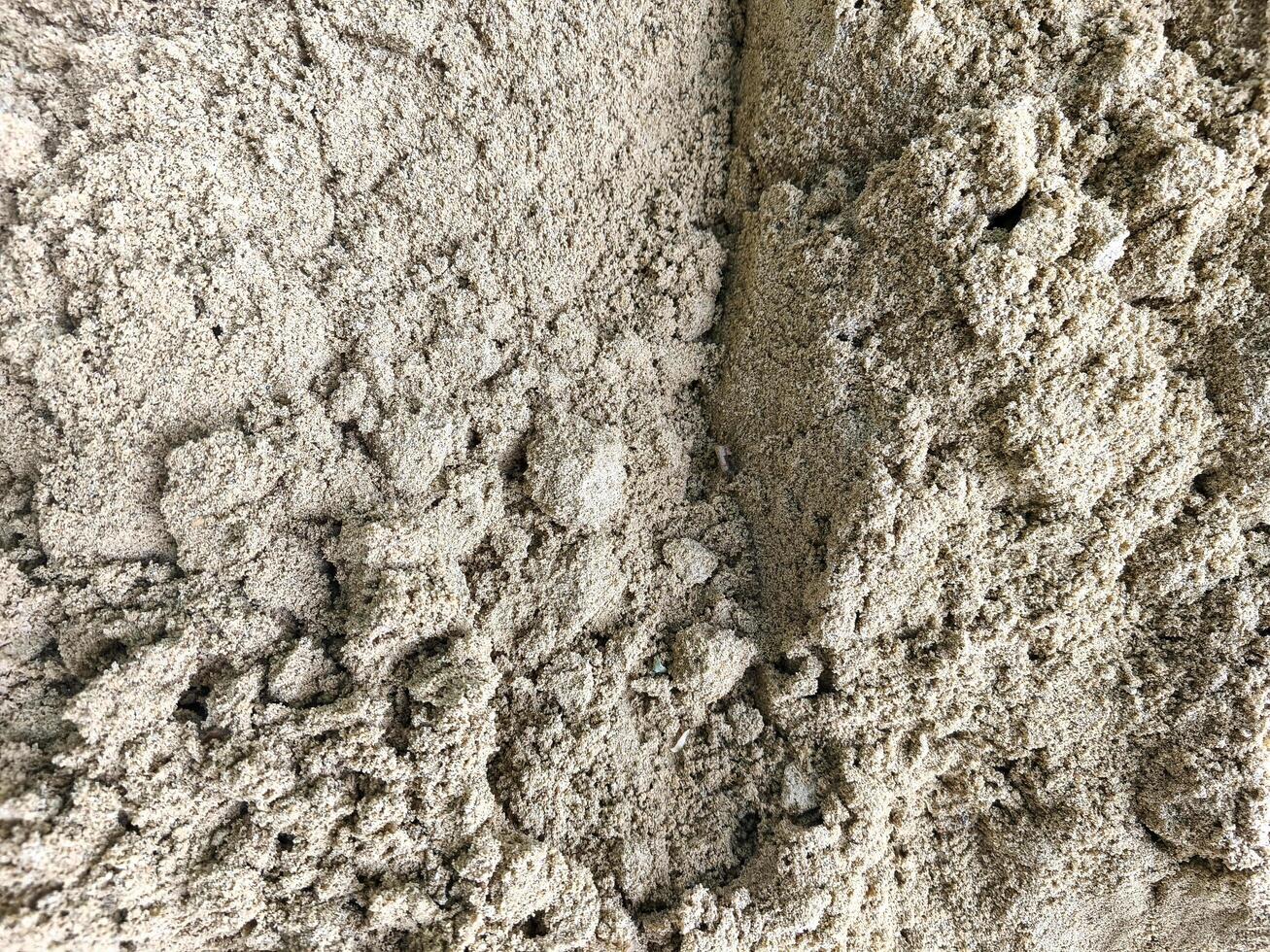 A close up of a sandy surface with a few small rocks scattered throughout. The texture of the sand is rough and grainy, giving the impression of a natural, earthy environment photo