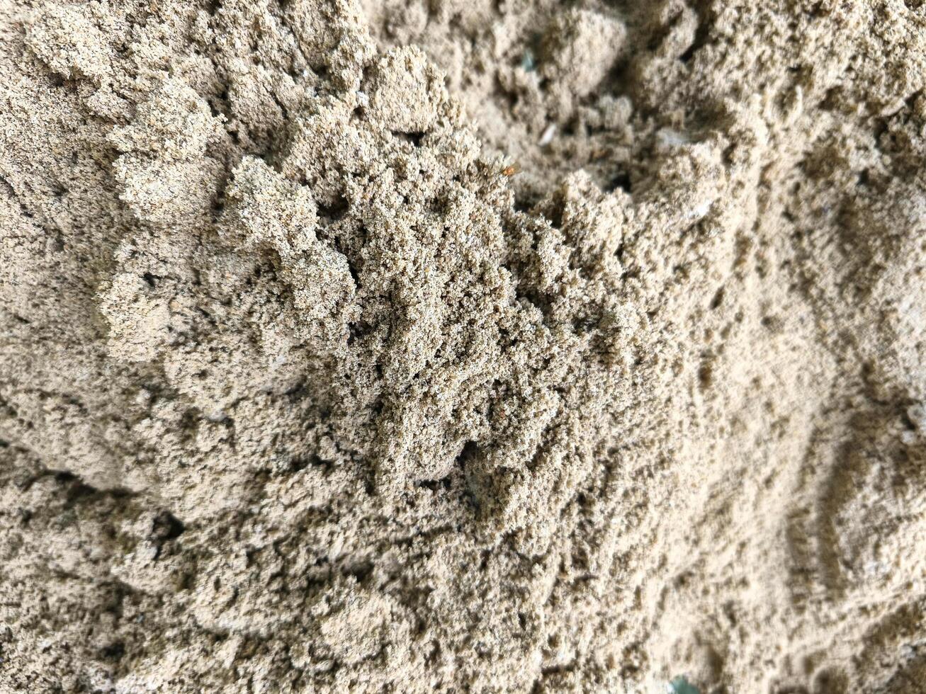 A close up of a pile of sand. The sand is light brown and has a grainy texture photo