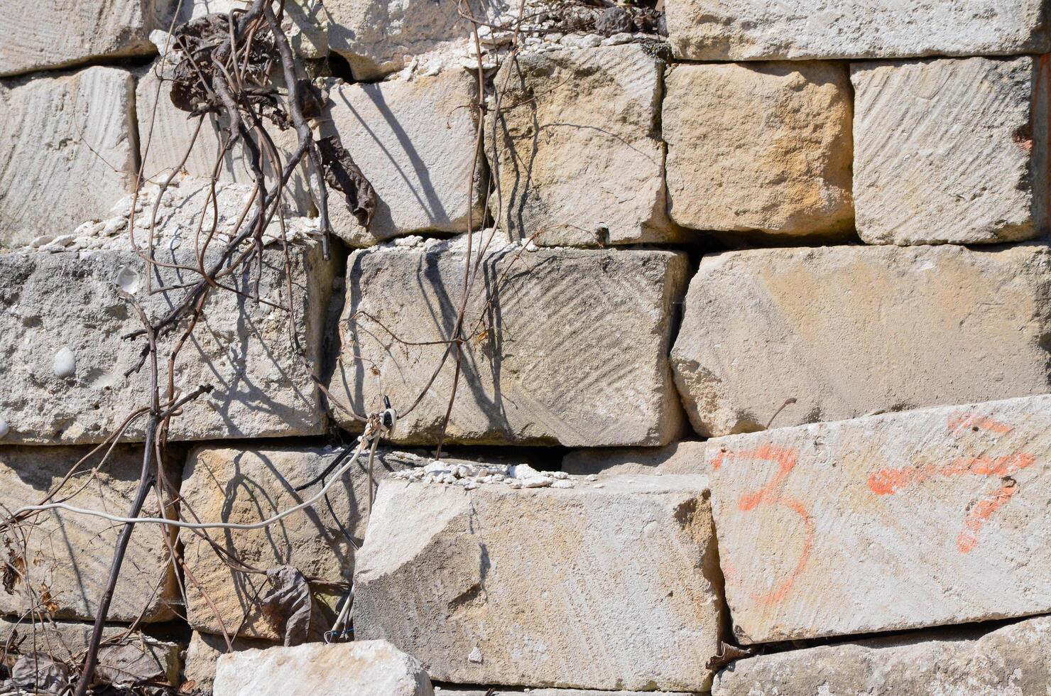A wall made of stone with vines growing on it. The wall is old and has some graffiti on it. photo