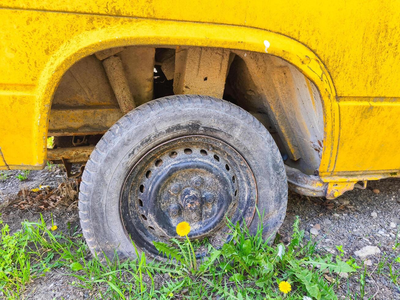 A yellow school bus with a black tire. The tire is in the grass and the bus is parked on the side of the road photo