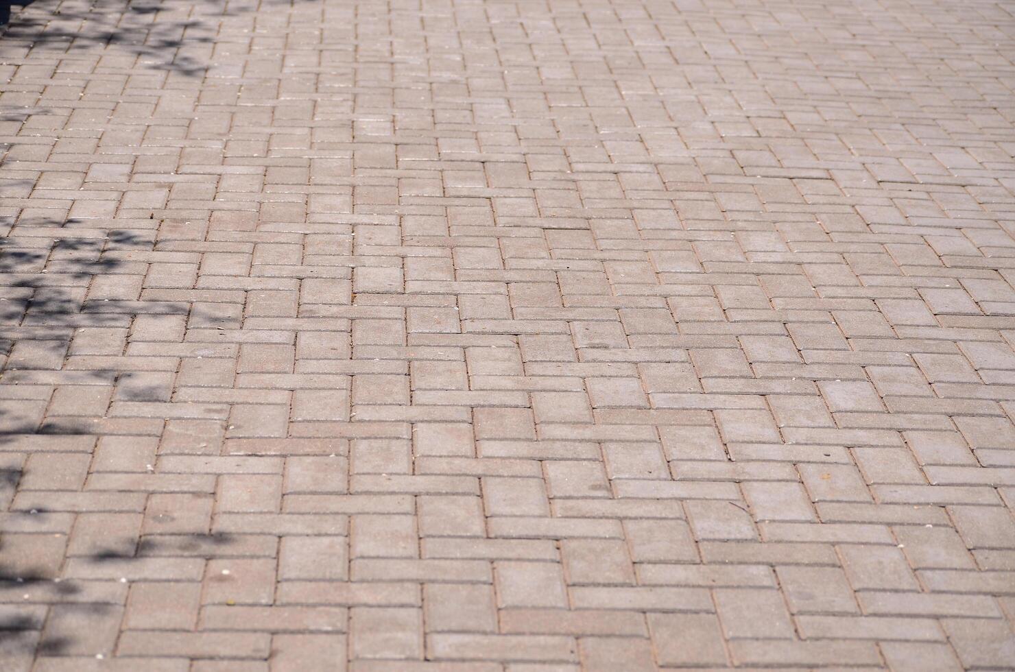 A brick paved road with a tree in the background. The road is empty and the bricks are laid out in a checkered pattern photo