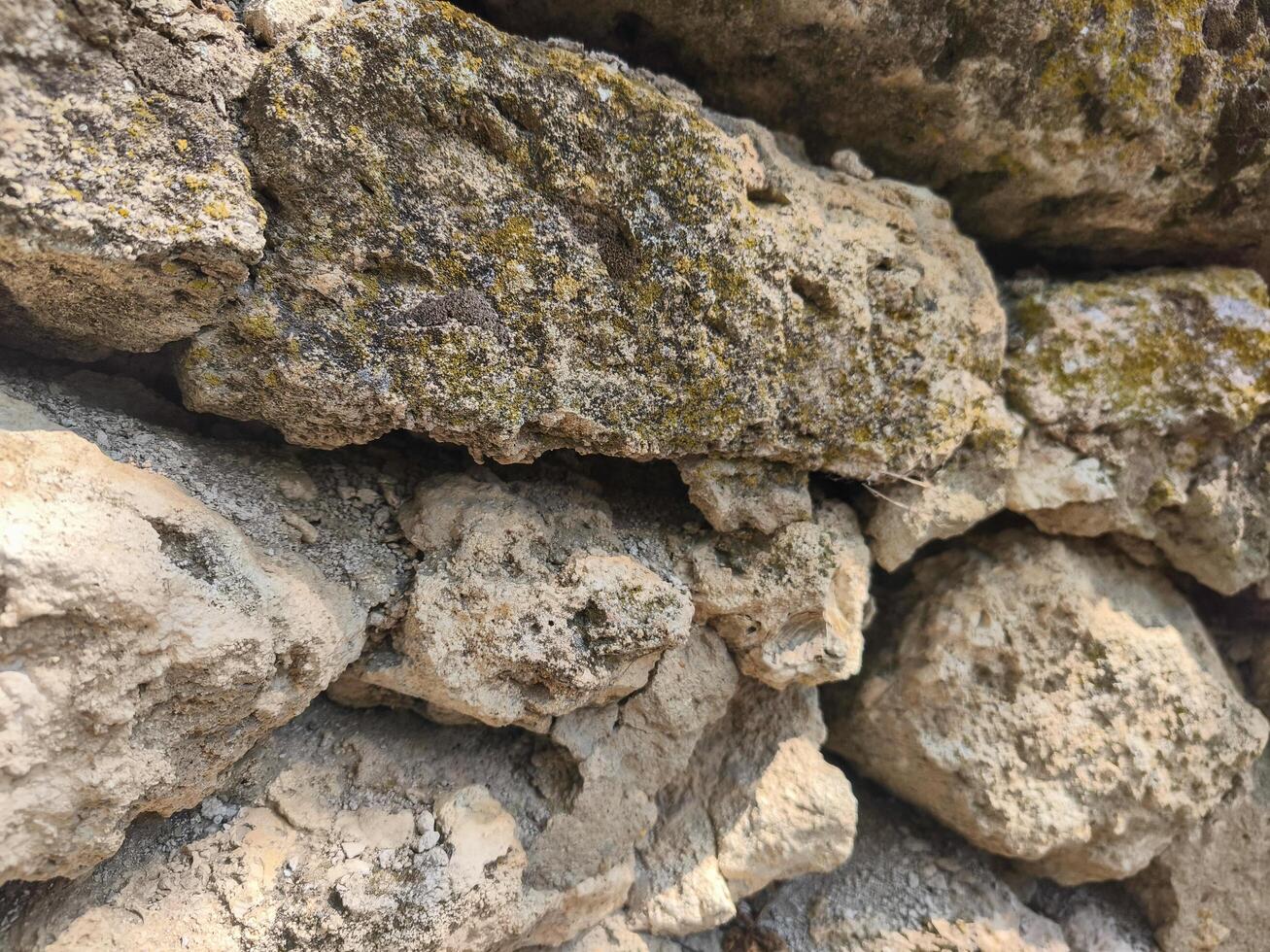 A wall made of rocks with moss growing on it. The moss is green and brown in color photo