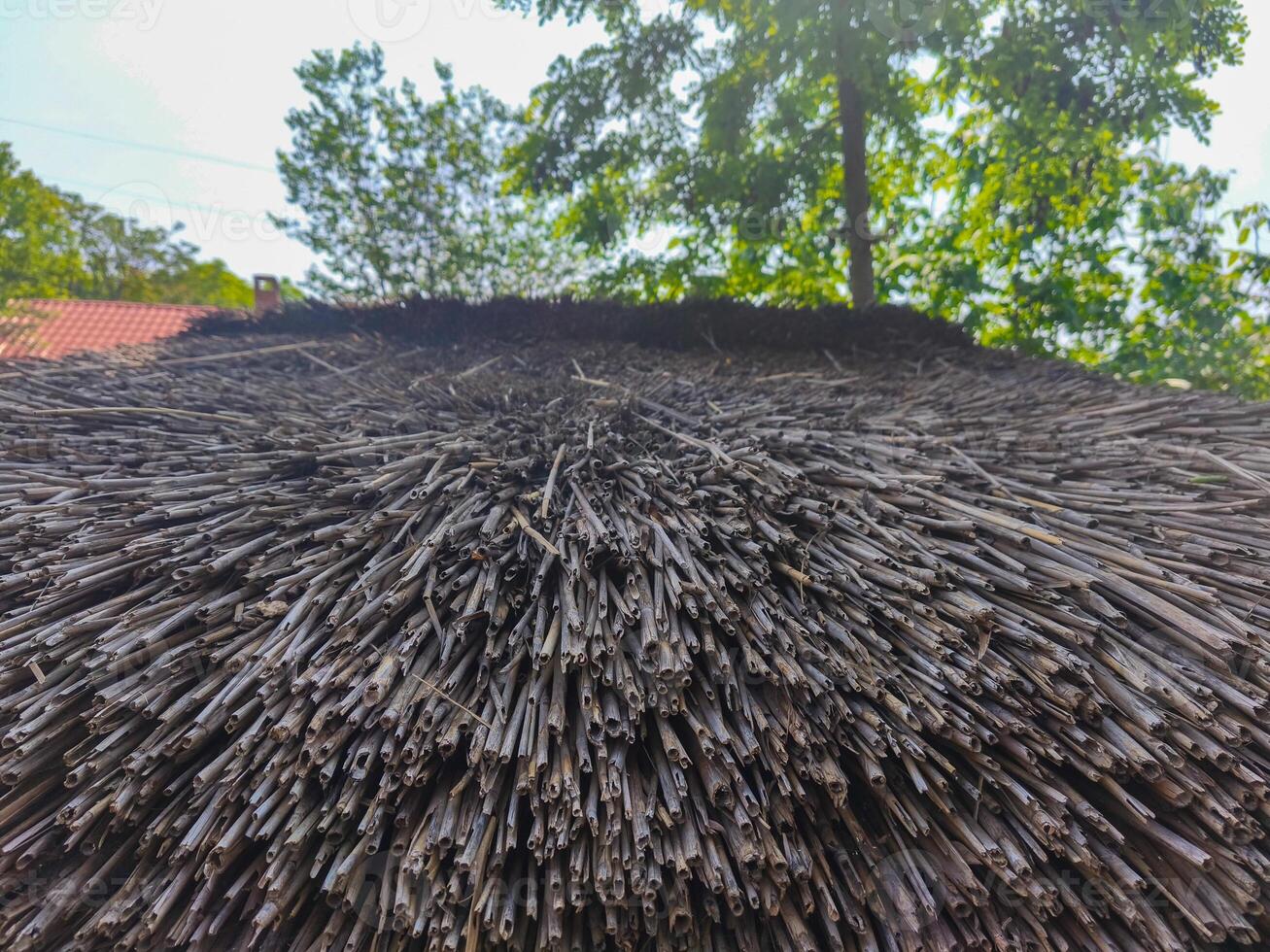 A close up of a bunch of straws. The straws are brown and are piled on top of each other. Scene is somewhat somber and dull photo