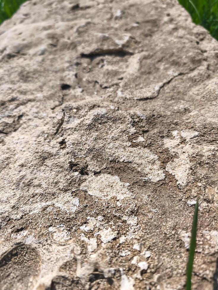 A rock with a few footprints on it. The rock is brown and has a rough texture. The footprints are small and scattered across the surface of the rock. Concept of exploration and adventure photo