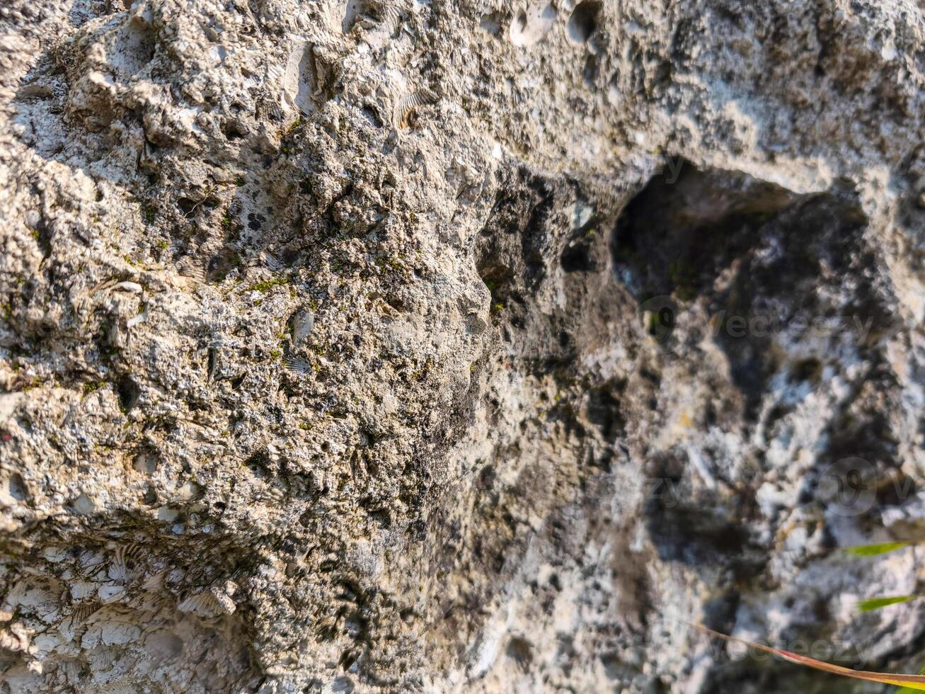 A large rock with many holes and cracks. The rock appears to be old and weathered, with a rough texture. The holes and cracks give the rock a sense of depth and character photo