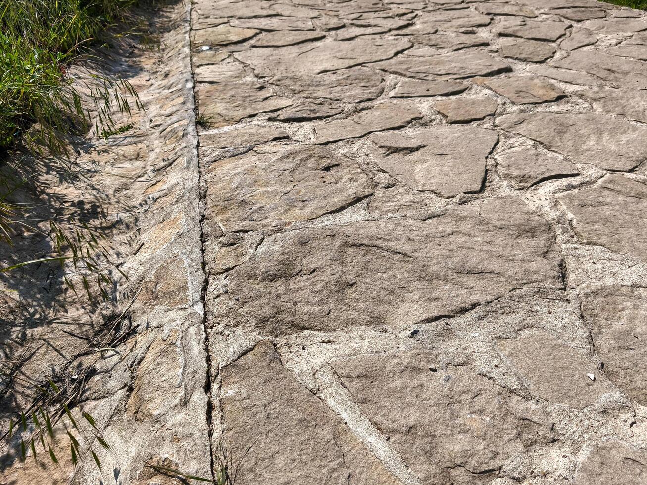 A stone walkway with a grassy area on the side. The walkway is made of stone and has a few cracks photo
