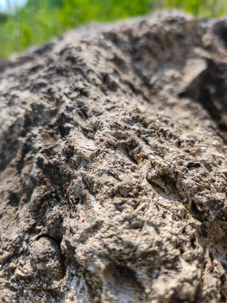 A rock with a rough surface and a few holes. The rock is brown and gray in color photo